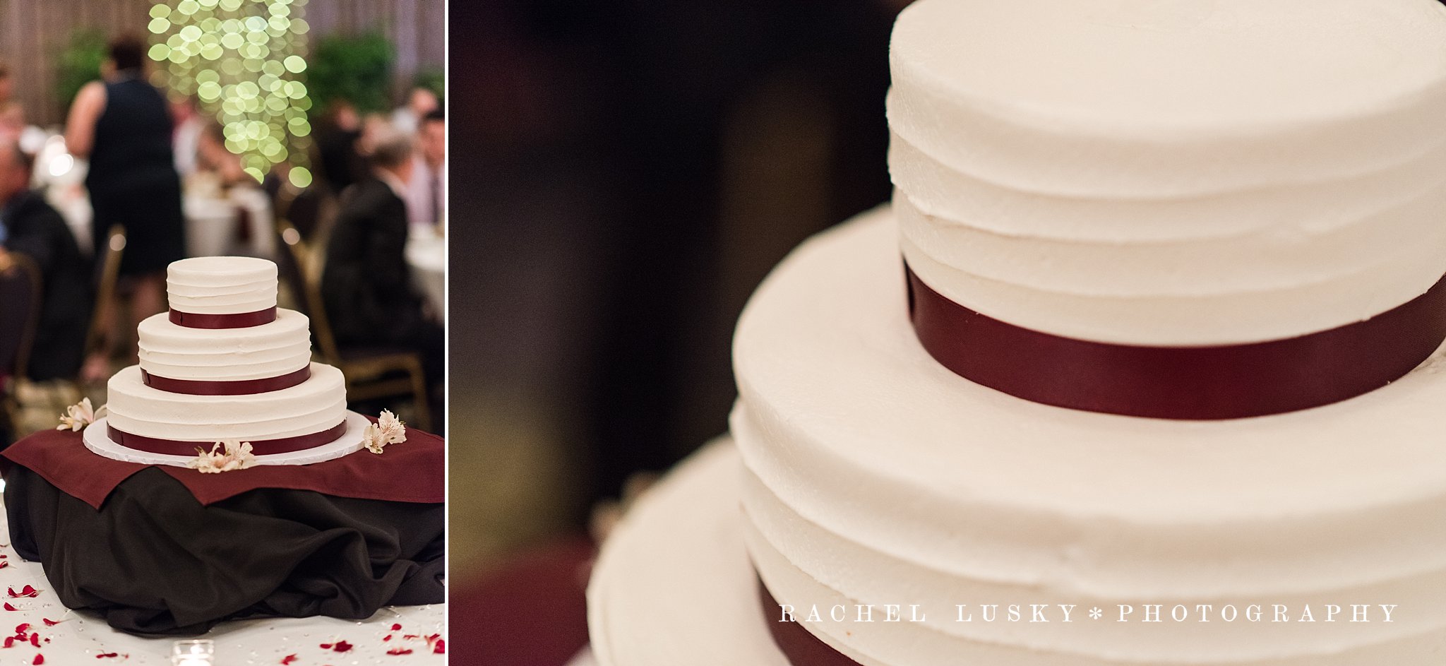 Bel-Aire Clarion Hotel, Erie PA Wedding Photography