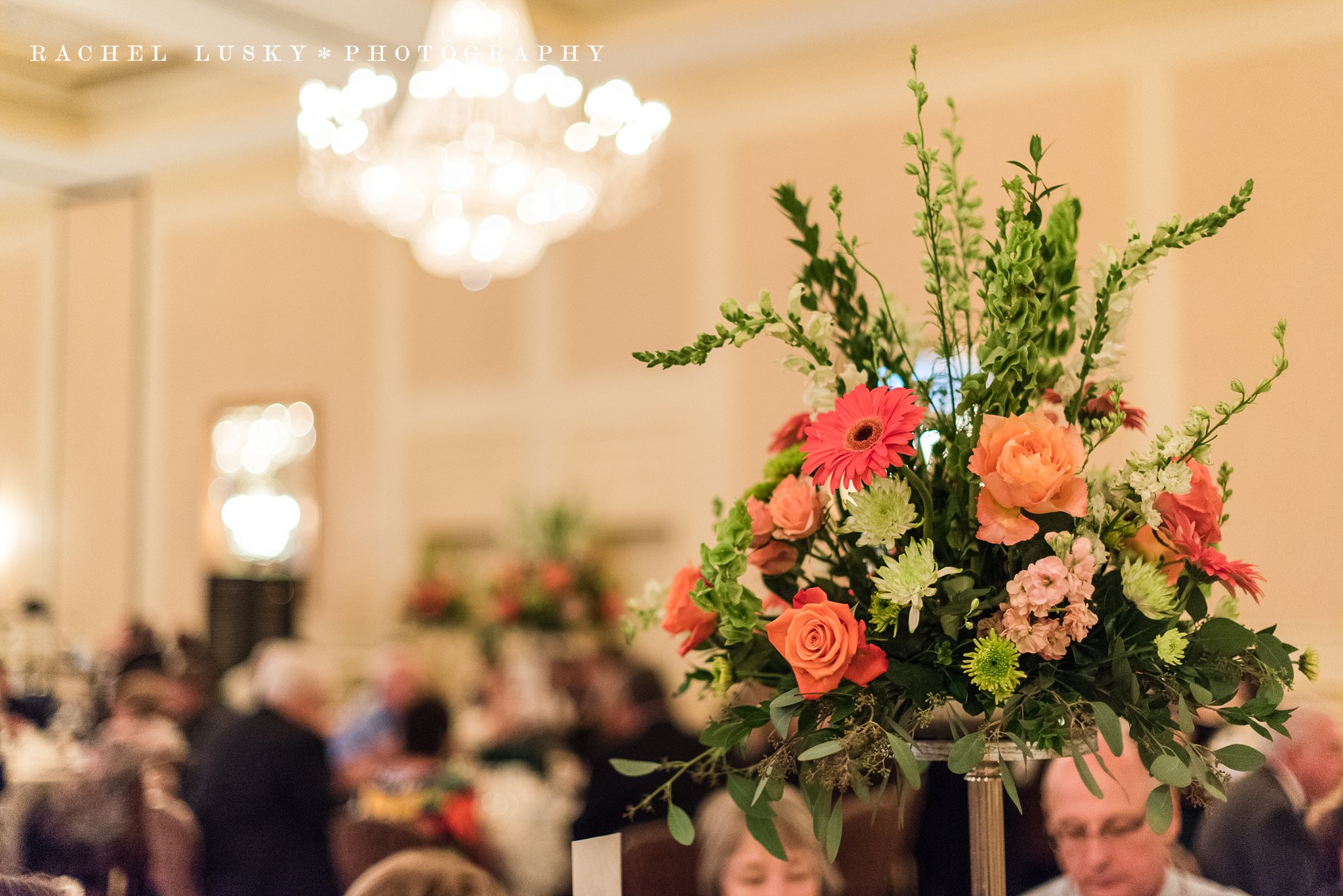 Maura & Joe Wedding, Ambassador Wedding Photographer Erie PA Wedding Photographer, Ambassador Banquet & Conference Center