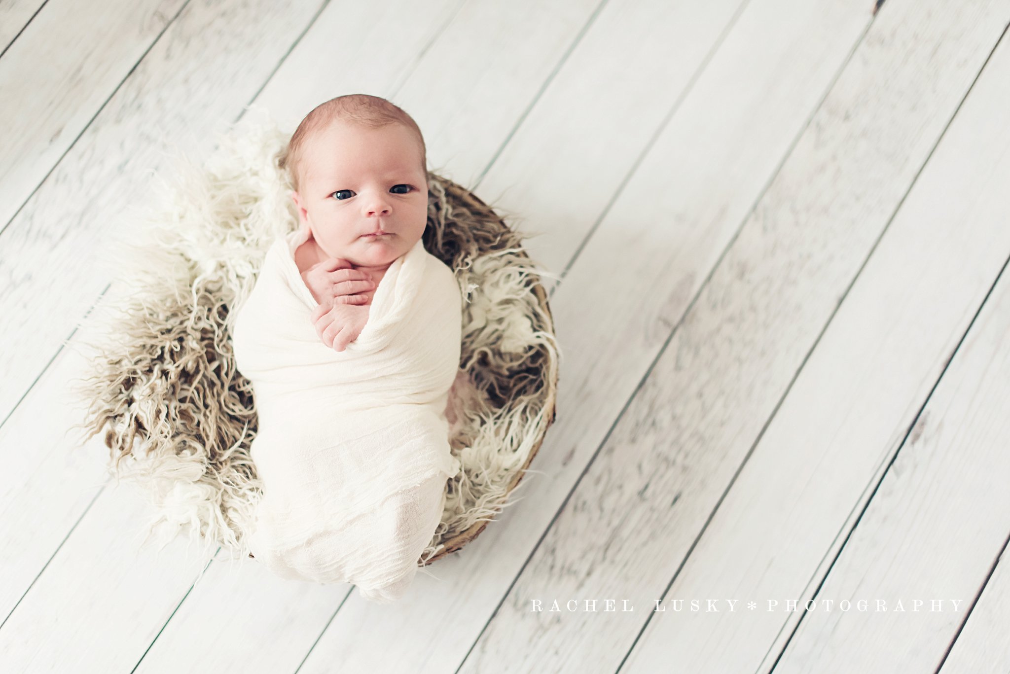 GreyAtkins-1022b_blog.jpg GreyAtkins-1022b_blog.jpg